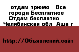 отдам трюмо - Все города Бесплатное » Отдам бесплатно   . Челябинская обл.,Аша г.